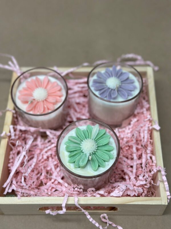 Monochromatic Coloured Daisy Candle