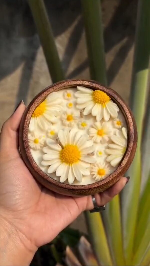 Curved wooden Urli with Yellow Daisy